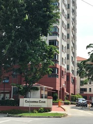 Casuarina Cove (D15), Condominium #176926412